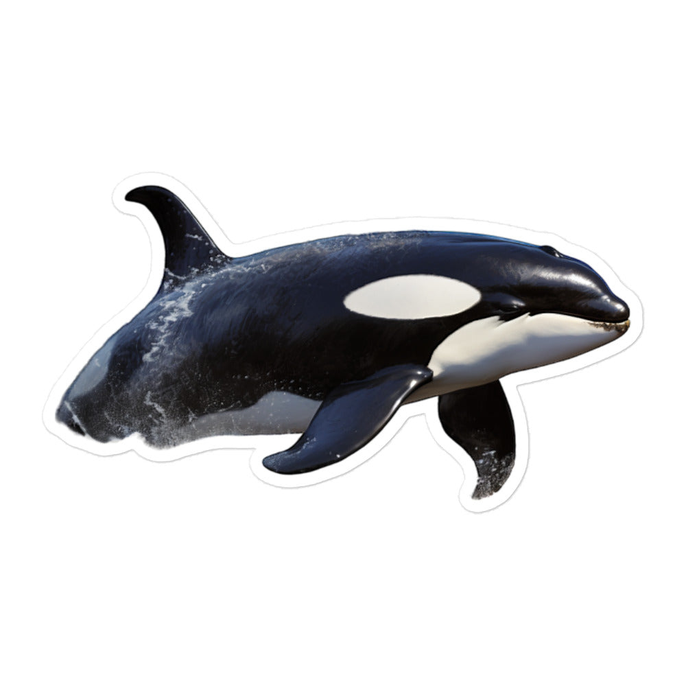 Orcas Sticker - Stickerfy.ai