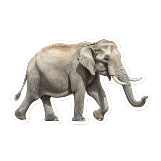 Asian Elephant Sticker