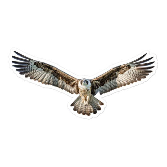 Osprey Sticker