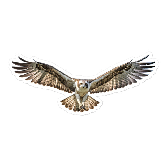 Osprey Sticker