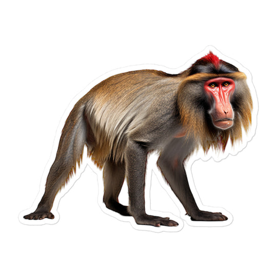 Mandrill Sticker