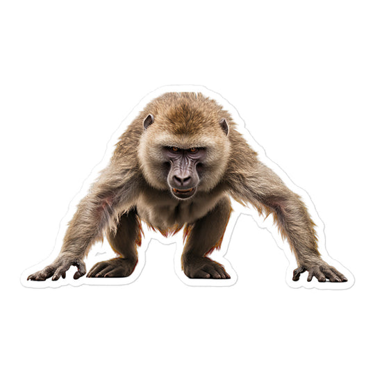 Baboon Sticker