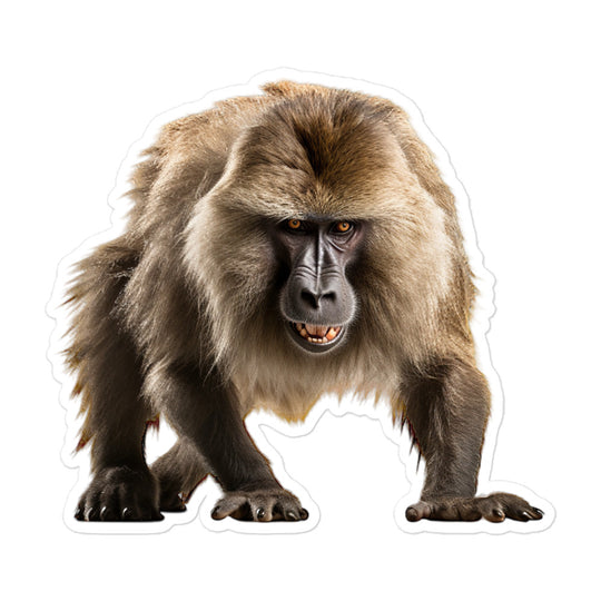 Baboon Sticker