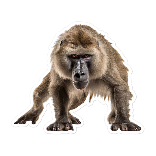 Baboon Sticker