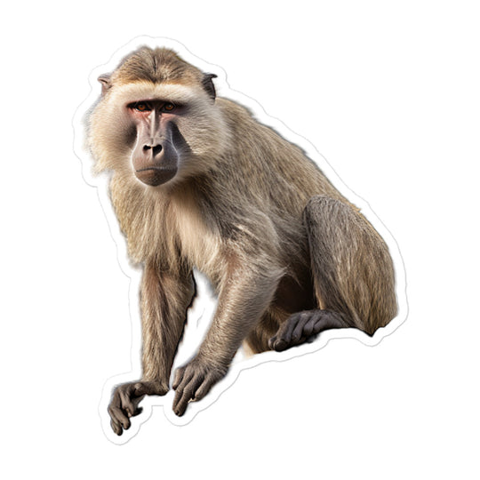 Baboon Sticker