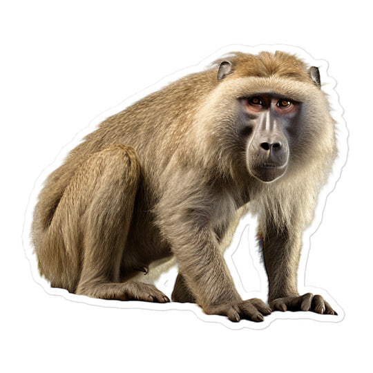 Baboon Sticker