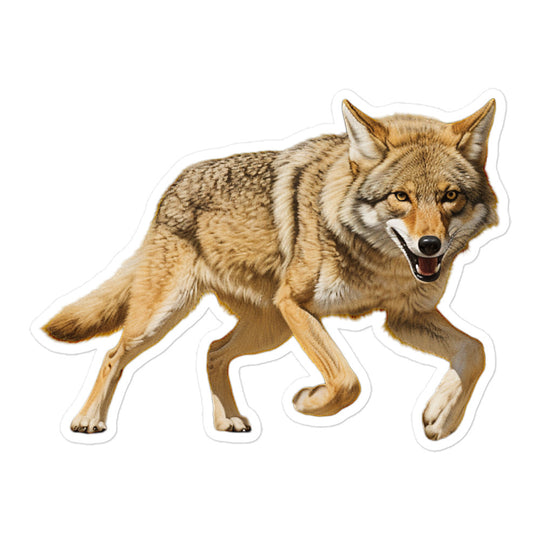 Coyote Sticker