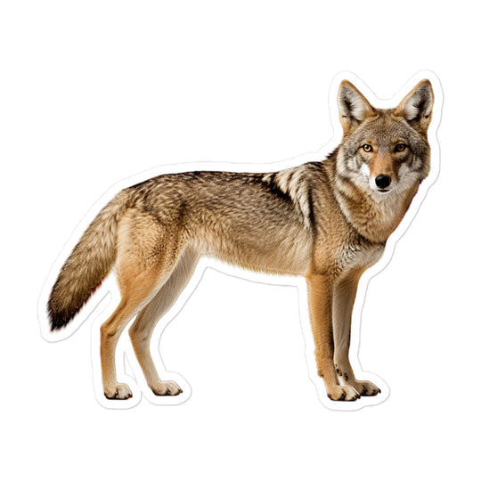 Coyote Sticker