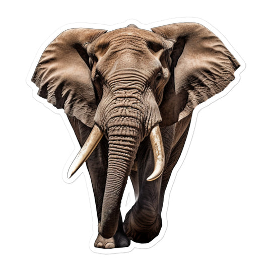 African Bush Elephant Sticker