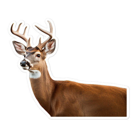 White Tailed Deer Sticker