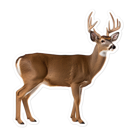 White Tailed Deer Sticker