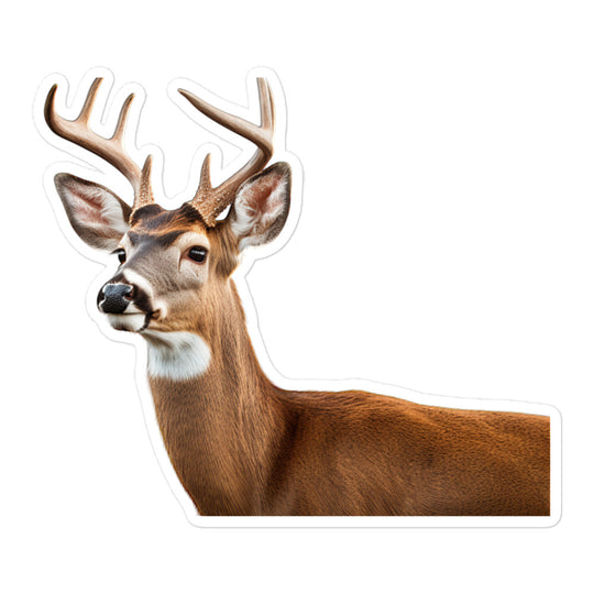 White Tailed Deer Sticker