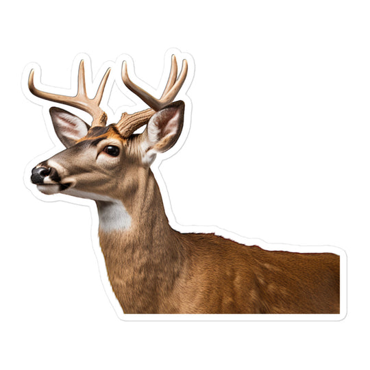 White Tailed Deer Sticker