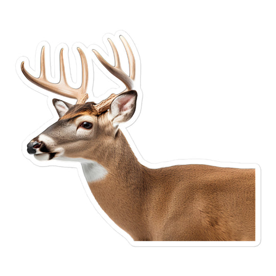 White Tailed Deer Sticker