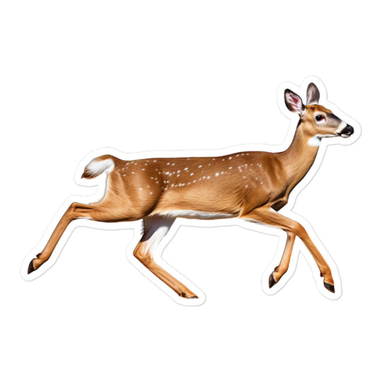 White Tailed Deer Sticker