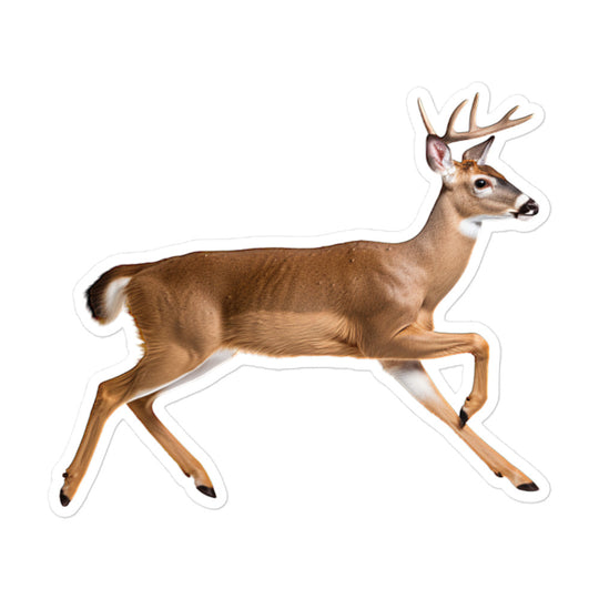 White Tailed Deer Sticker