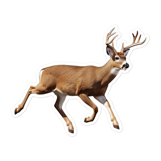 White Tailed Deer Sticker