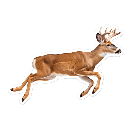 White Tailed Deer Sticker