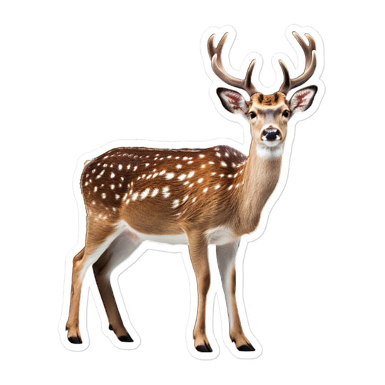 Fallow Deer Sticker