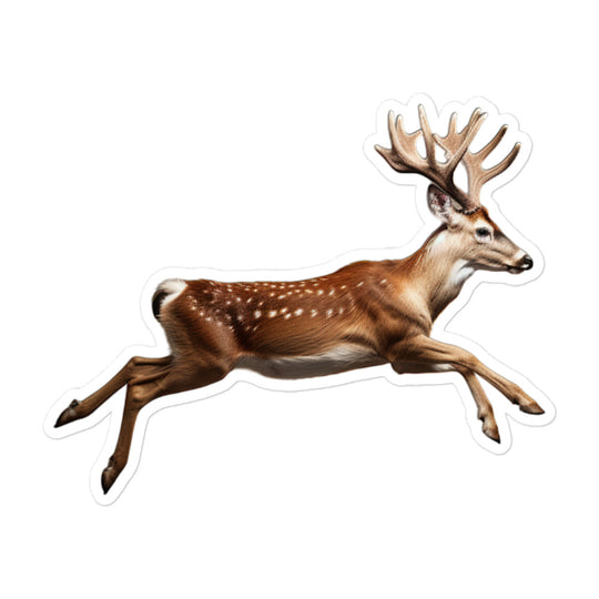 Fallow Deer Sticker