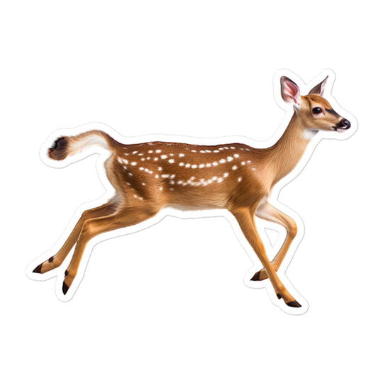 Fallow Deer Sticker