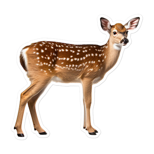 Fallow Deer Sticker