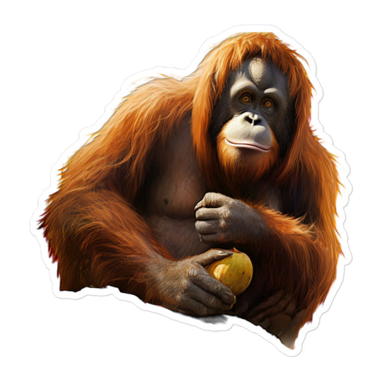 Orangutan Sticker