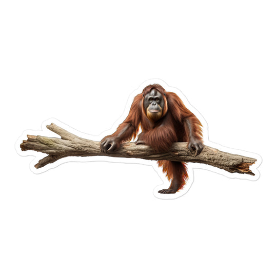 Orangutan Sticker