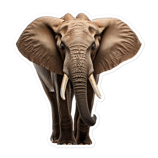 African Forest Elephant Sticker