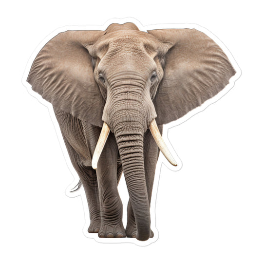 African Forest Elephant Sticker