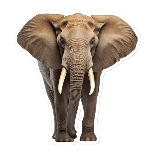 African Forest Elephant Sticker