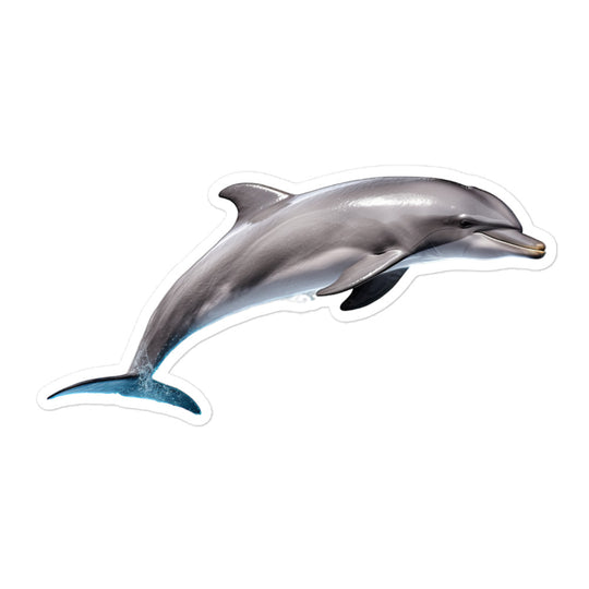 Dolphins Sticker