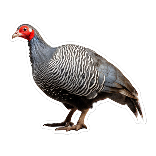 Guinea fowl Sticker