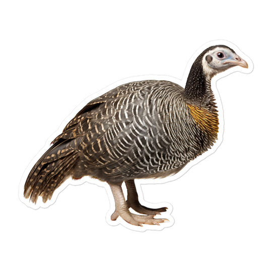 Guinea fowl Sticker