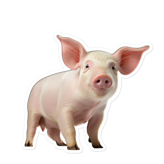 Pig Sticker