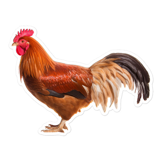 Chicken Sticker