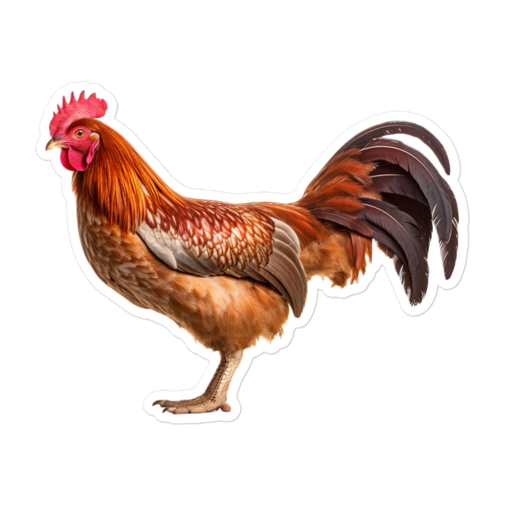 Chicken Sticker