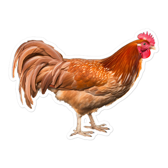 Chicken Sticker